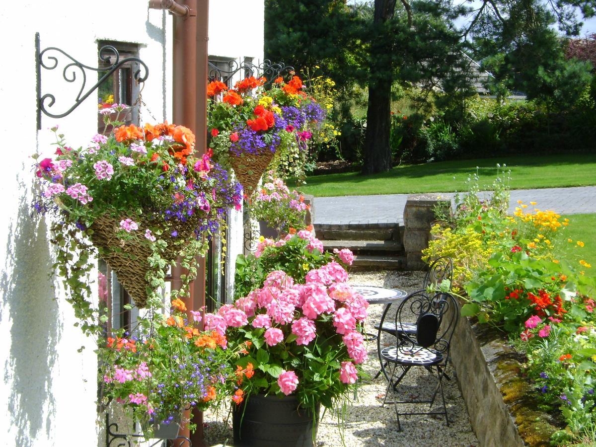 Celyn Villa Bed And Breakfast Holywell  Dış mekan fotoğraf